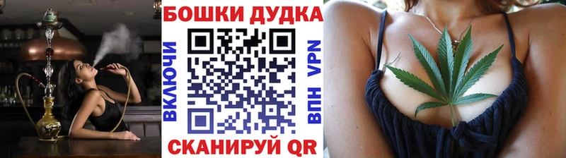 Бошки марихуана планчик  дарк нет наркотические препараты  Реутов 
